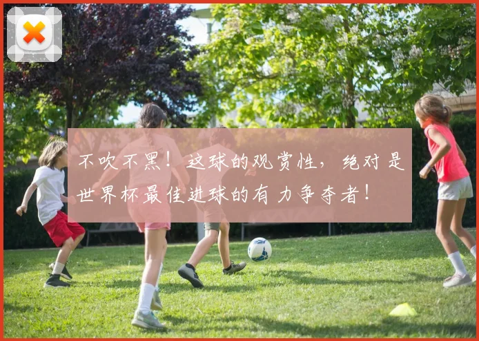 不吹不黑!这球的观赏性,绝对是世界杯最佳进球的有力争夺者!