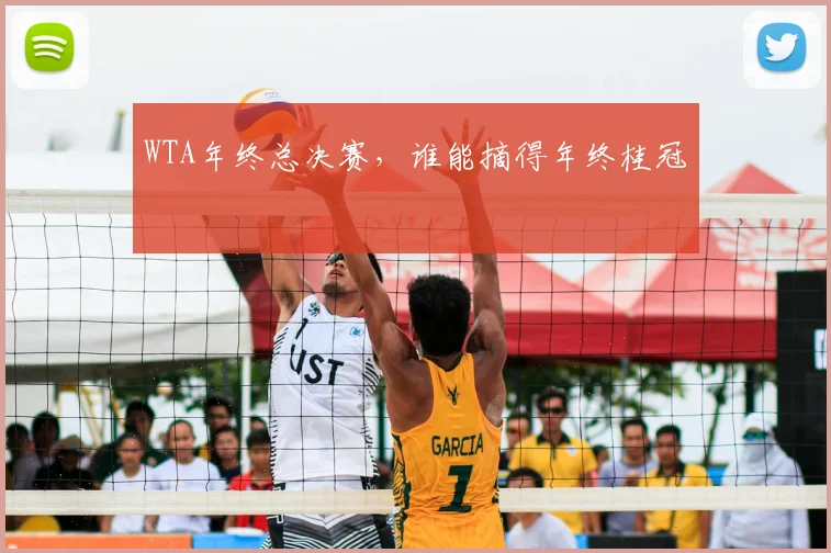 WTA年终总决赛，谁能摘得年终桂冠