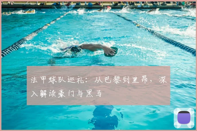 法甲球队巡礼：从巴黎到里昂，深入解读豪门与黑马